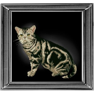 Набор для вышивания мулине КРАСА И ТВОРЧЕСТВО арт.20912 Американская короткошерстная кошка 28х28 см