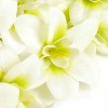 Цветы искусственные арт.СЛ.649456 орхидея белая 90 см d-7 см