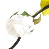Декор тинги арт.СЛ.561074 роза цв.белый 150 см