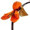 Декор ветка арт.СЛ.450535 лоза цветок раскрытый цв.оранжевый 150 см