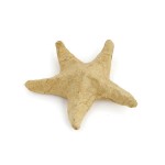 Фигурка из папье-маше Decopatch арт.DP AP622, объемная, мини, морская звезда, 10*2*10 см