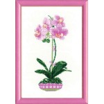 Набор для вышивания арт.СС-1163 Б Сиреневая орхидея 21x30 см