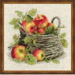Набор для вышивания арт.СС-1450 Спелые яблоки