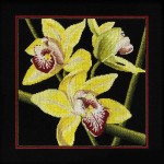Набор для вышивания арт.РТ-M264 Орхидеи Цимбидиум 36x36 см