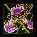 Набор для вышивания арт.РТ-M265 Орхидеи Зигопеталум 36x36 см