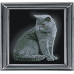 Набор для вышивания мулине КРАСА И ТВОРЧЕСТВО арт.21111 Британская короткошерстная кошка 28х28 см