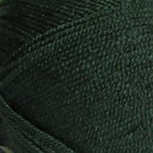 Пряжа для вязания Karolina Каролина (100% акрил) 10х100гр438м цв. т.зеленый 62