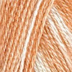 Пряжа для вязания ТРО Алиса (50%шерсть+50%вискоза) 10х100гр300м цв.4201 секционный