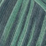 Пряжа для вязания ТРО Чистая шерсть (100%шерсть) 10х100гр250м цв.4088 секционный