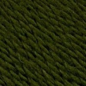 Пряжа для вязания ТРО Морозко (100%шерсть) 10х100гр200м цв.1231 кактус