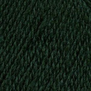 Пряжа для вязания ТРО Подмосковная (50%шерсть+50%акрил) 10х100гр250м цв.0112 зеленый
