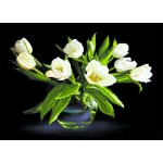 Рисунок на шелке арт.МП-37х49-4077 Белые тюльпаны