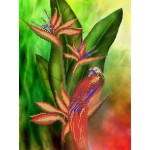 Рисунок на ткани для вышивания бисером КАРТИНЫ БИСЕРОМ арт.S-060 Птица джунглей