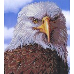 Рисунок на ткани для вышивания бисером КАРТИНЫ БИСЕРОМ арт.S-116 Гордый орел