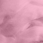 Шерсть для валяния ПЕХОРКА полутонкая шерсть (100%шерсть) 50гр цв.76 розовый бутон