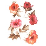 Трансфер декоративный арт.RR-032 Акварельные розы 17х25см цветной