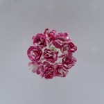Хризантемы, набор 10 шт, диам 1 см, пурпурный