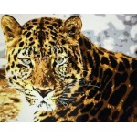 Набор для раскрашивания 40 x 50 см: Леопард Q751
