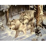 Набор для раскрашивания 40 x 50 см: Волки в лесу Q372
