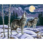 Набор для раскрашивания 40 x 50 см: Ночные волки Q368