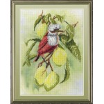 Наборы для вышивания с рисунком на канве МП Студия арт РК-301 Птичка на ветке лимона 20*30