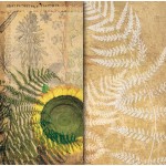 Бумага для скрапбукинга ботанический атлас арт.CP01036 подсолнух 30,5х30,5см 160гм двухстор