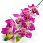 Цветы искусственные арт.СЛ.449457 орхидея нежная цв.сирень 97 см d-10.h-4