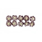 Цветки вишни коричневый цвет уп.10шт SCB 300209