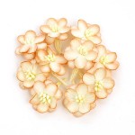 Цветки вишни  персиковый цвет уп.10шт SCB 300203