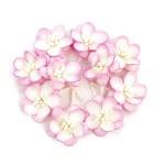 Цветки вишни розовый с белым уп.10шт SCB 300204