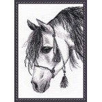 Набор для вышивания арт.Овен - 571 Лошадь-графика