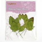 Набор листьев из шелковичной бумаги арт.SCB 300608 Микс