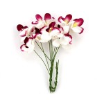 Орхидеи арт.SCB 290502 белые с бордовым уп.10 шт