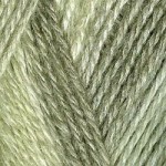 Пряжа для вязания ТРО Алиса (50%шерсть+50%вискоза) 10х100гр300м цв.4111 секционный