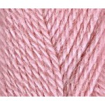 Пряжа для вязания ТРО Морозко (100%шерсть) 10х100гр200м цв.3584 миндальный