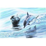 Рисунок на шелке арт.МП-28х34-4040 Дельфины
