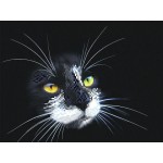 Рисунок на шелке арт.МП-28х34-4102 Черный кот