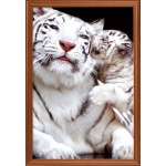 Рисунок на ткани Славяночка арт. КС-002 Белые тигры 25х39 см