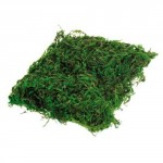 Зеленый сухой мох арт.44488